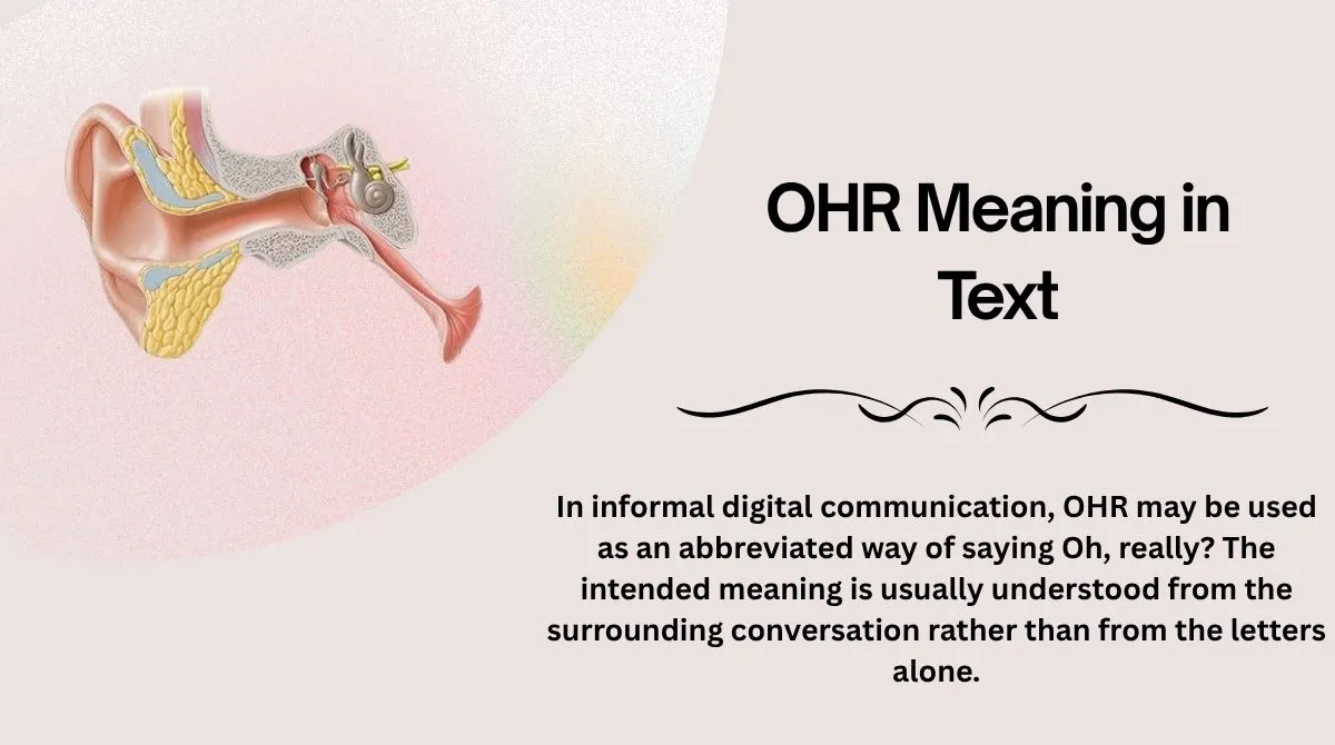 OHR Meaning in Text