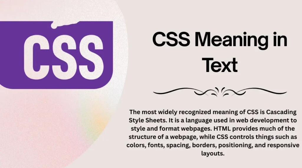 CSS Meaning in Text