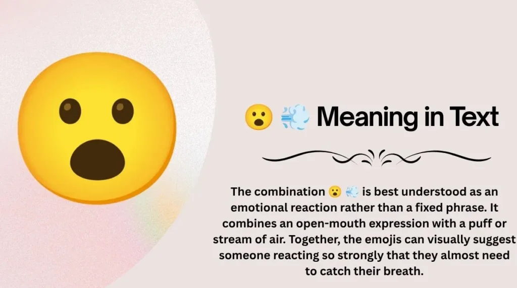 😮 💨 Meaning in Text
