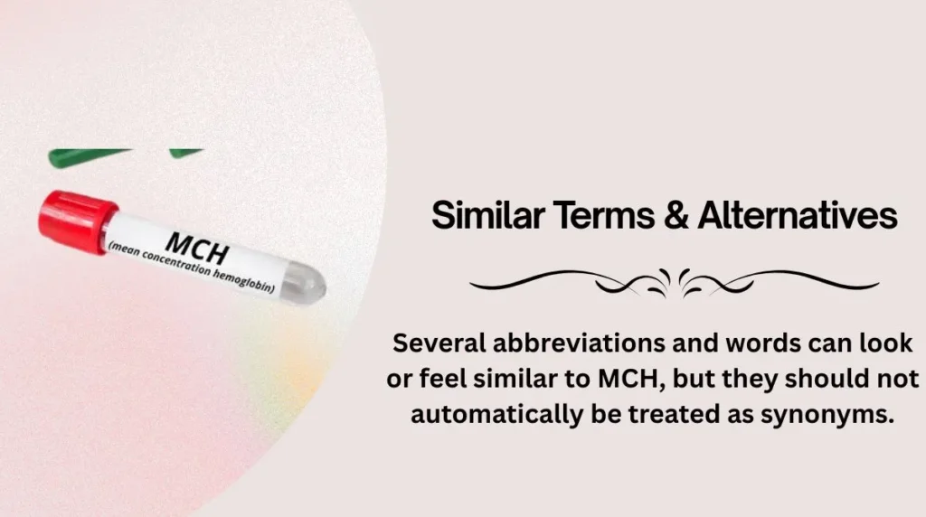 Similar Terms & Alternatives