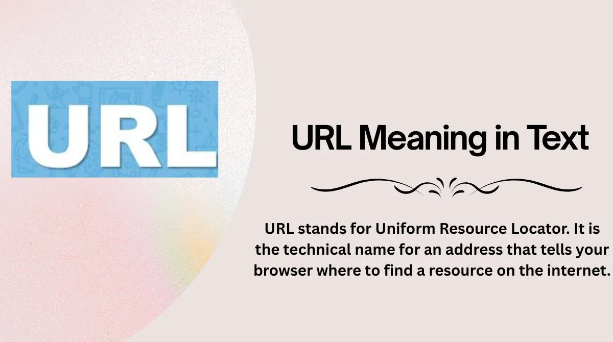 URL Meaning in Text